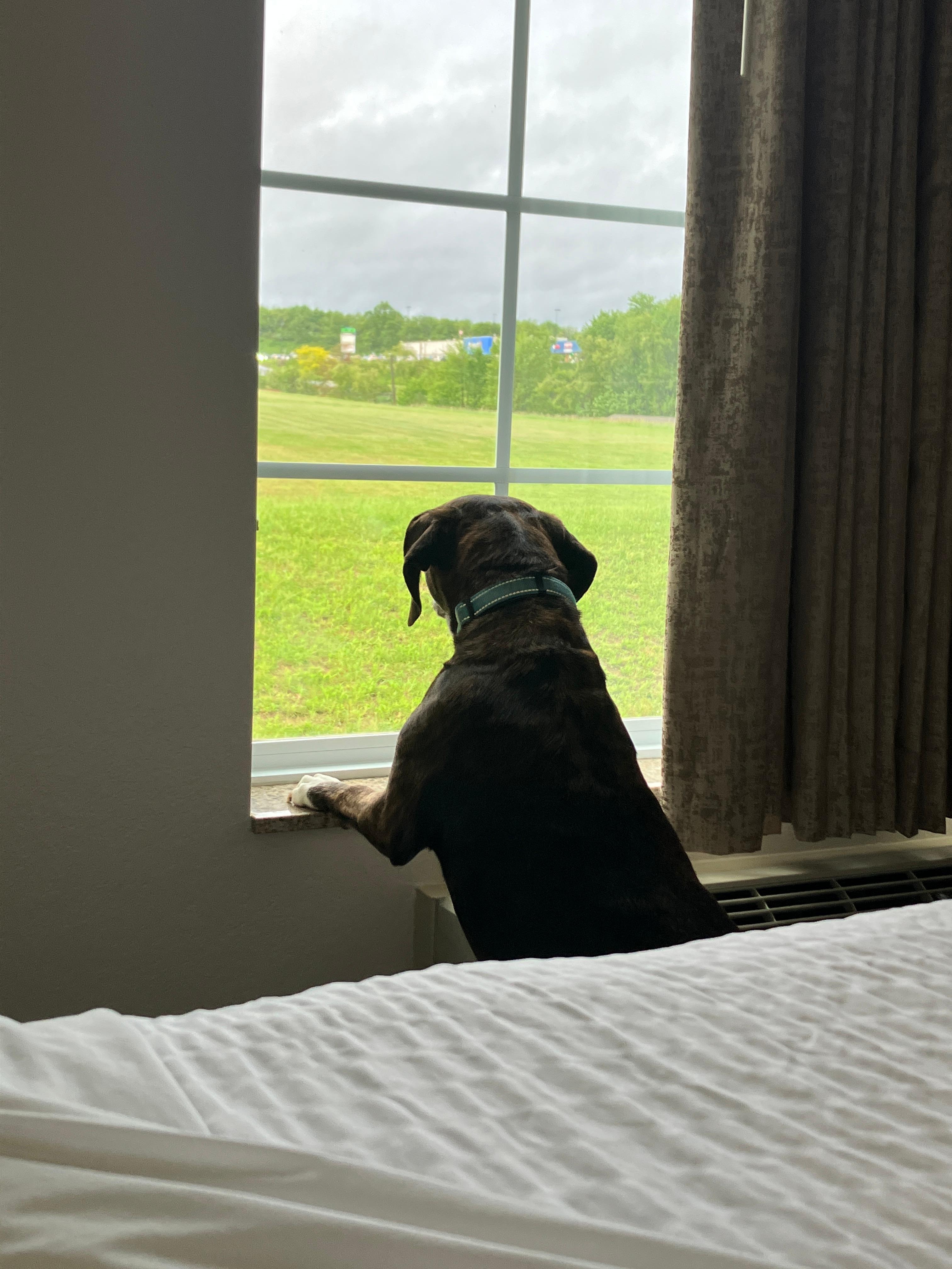 Great view, Ruth concurs!