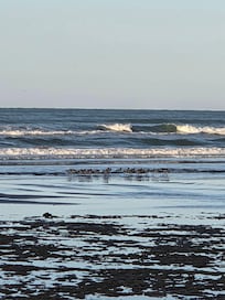 Pictures from our morning walks on the beach.
