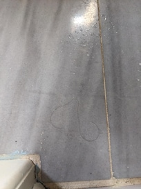Black hairs in bathroom