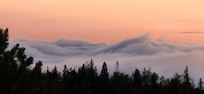 Fog rolling in early morning over the lake