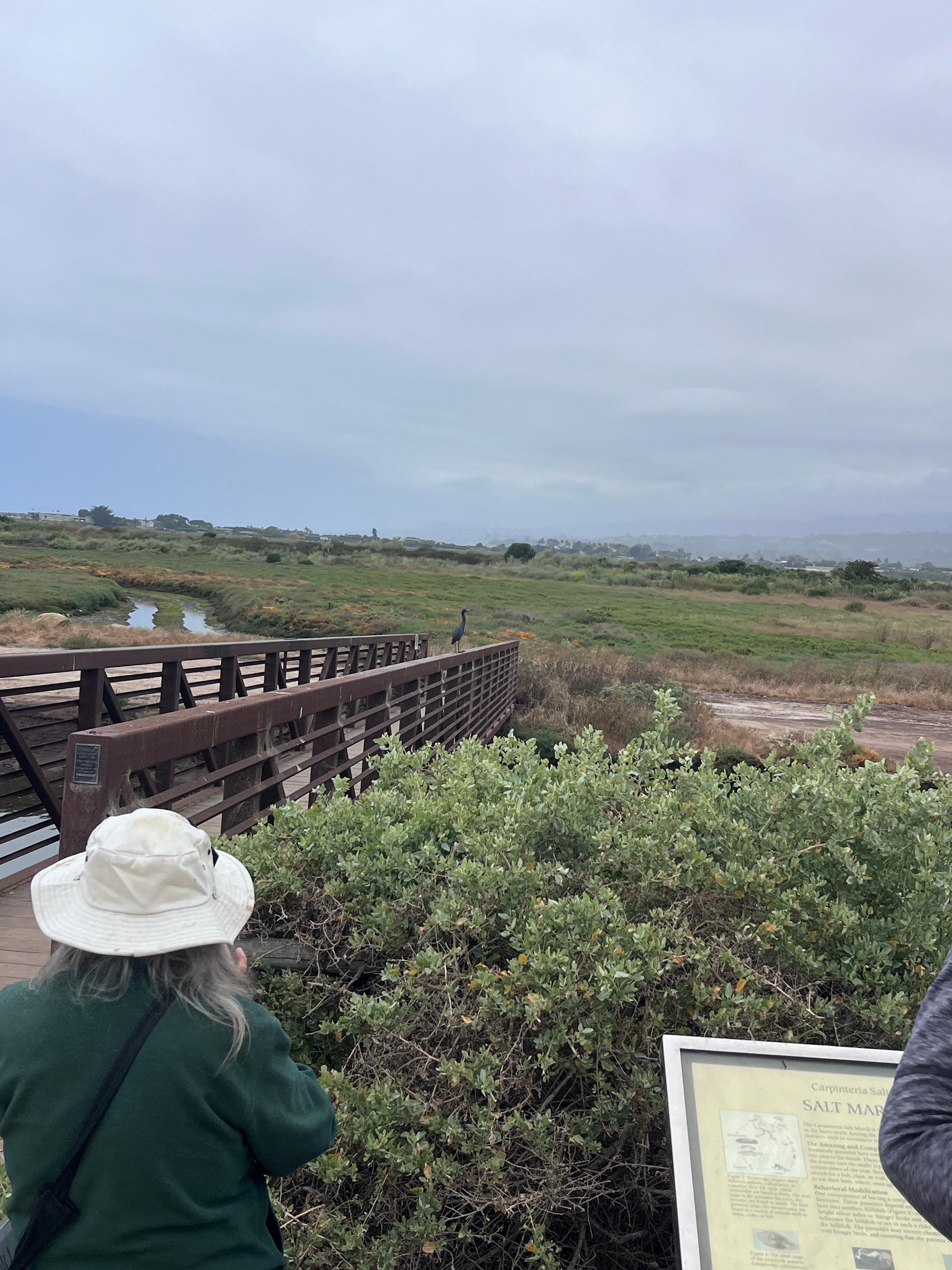 Salt marsh tour - Andrea was an awesome tour guide - very knowledgeable. 