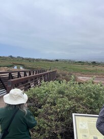 Salt marsh tour - Andrea was an awesome tour guide - very knowledgeable.
