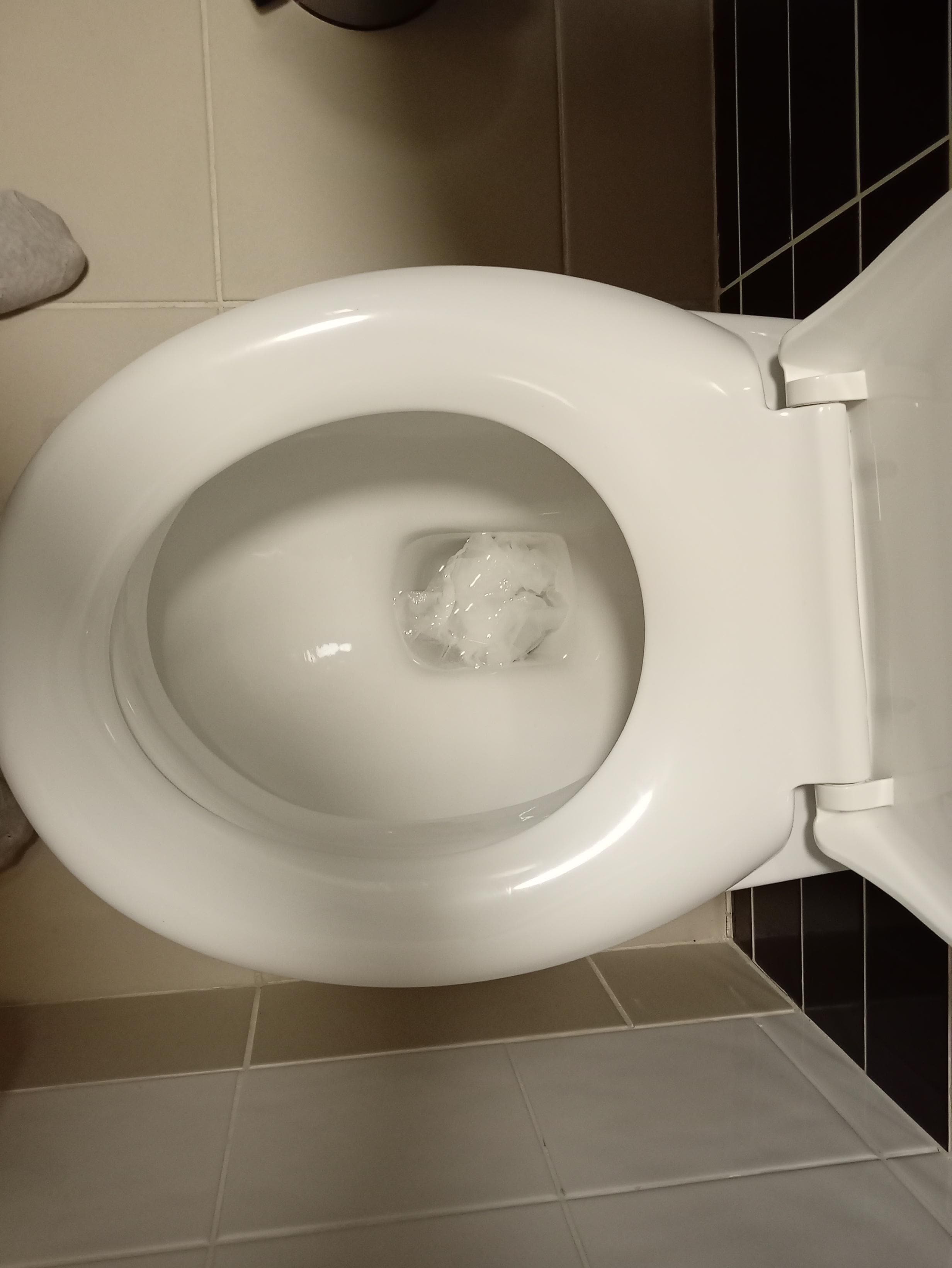 Out of place toilet seat