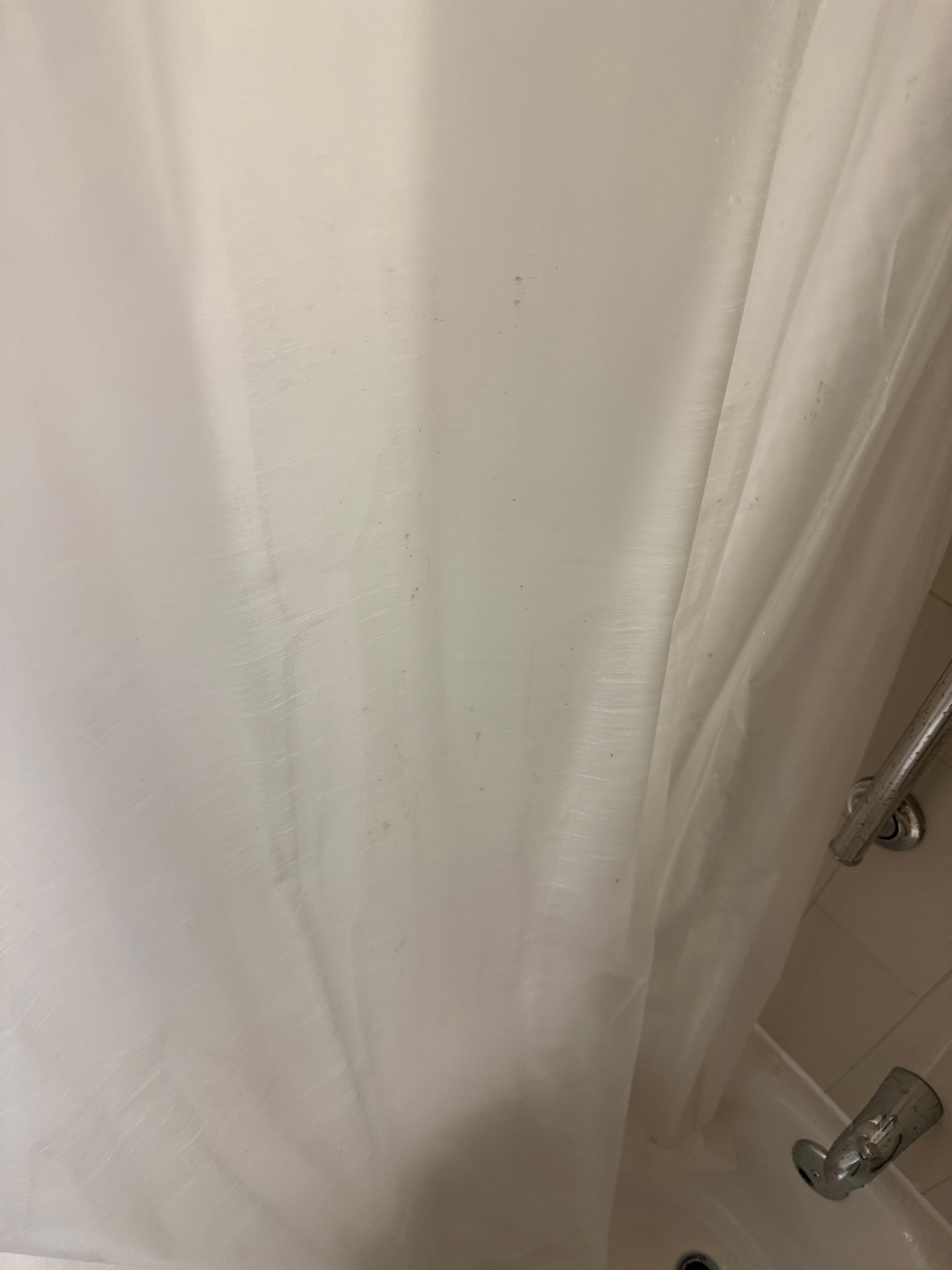 Moldy shower curtain 