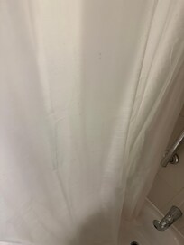 Moldy shower curtain