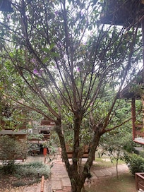 Espaço externo maravilhoso