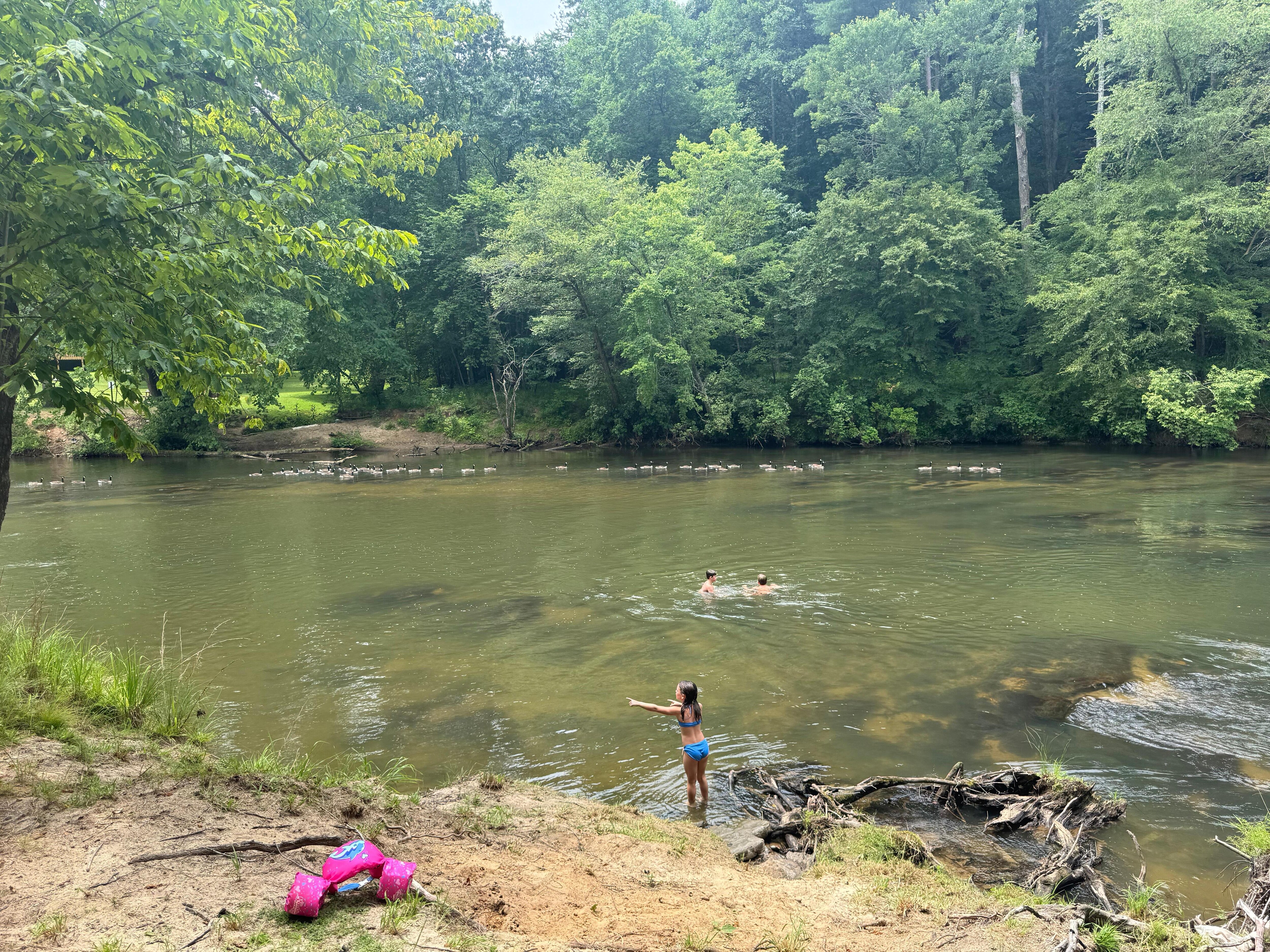The river right across from the cabin 