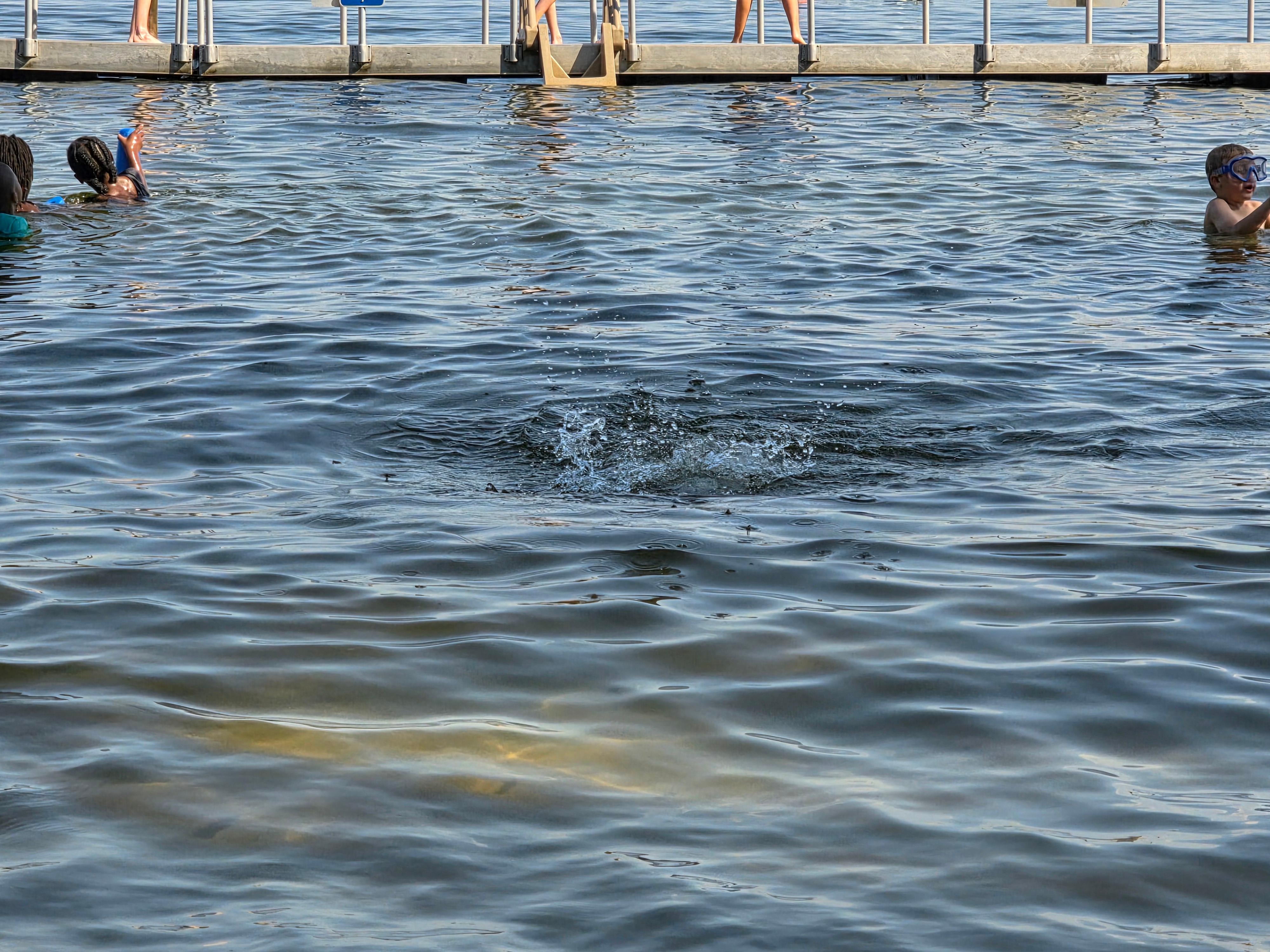 Swimming hole .25 miles away from the property 
