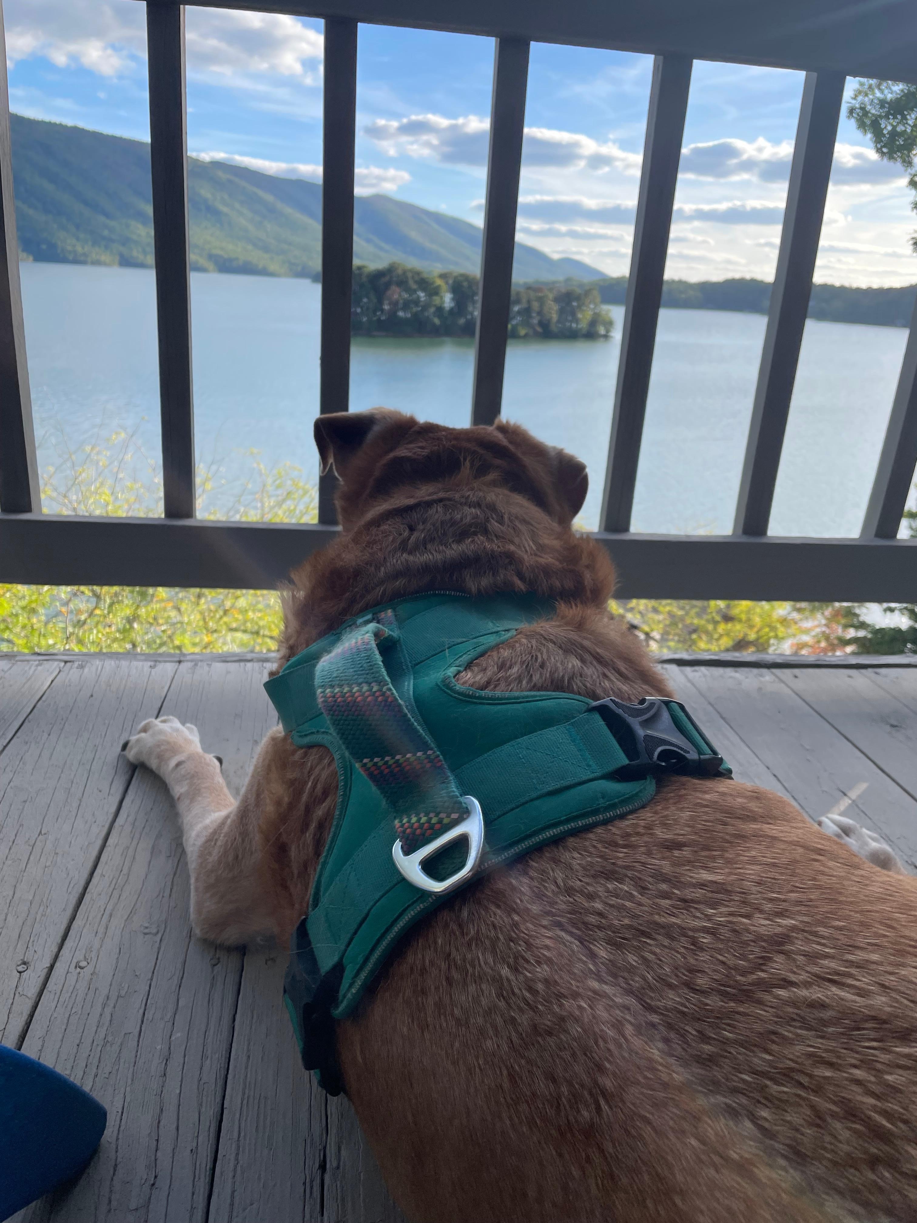 Jake enjoying his best life 