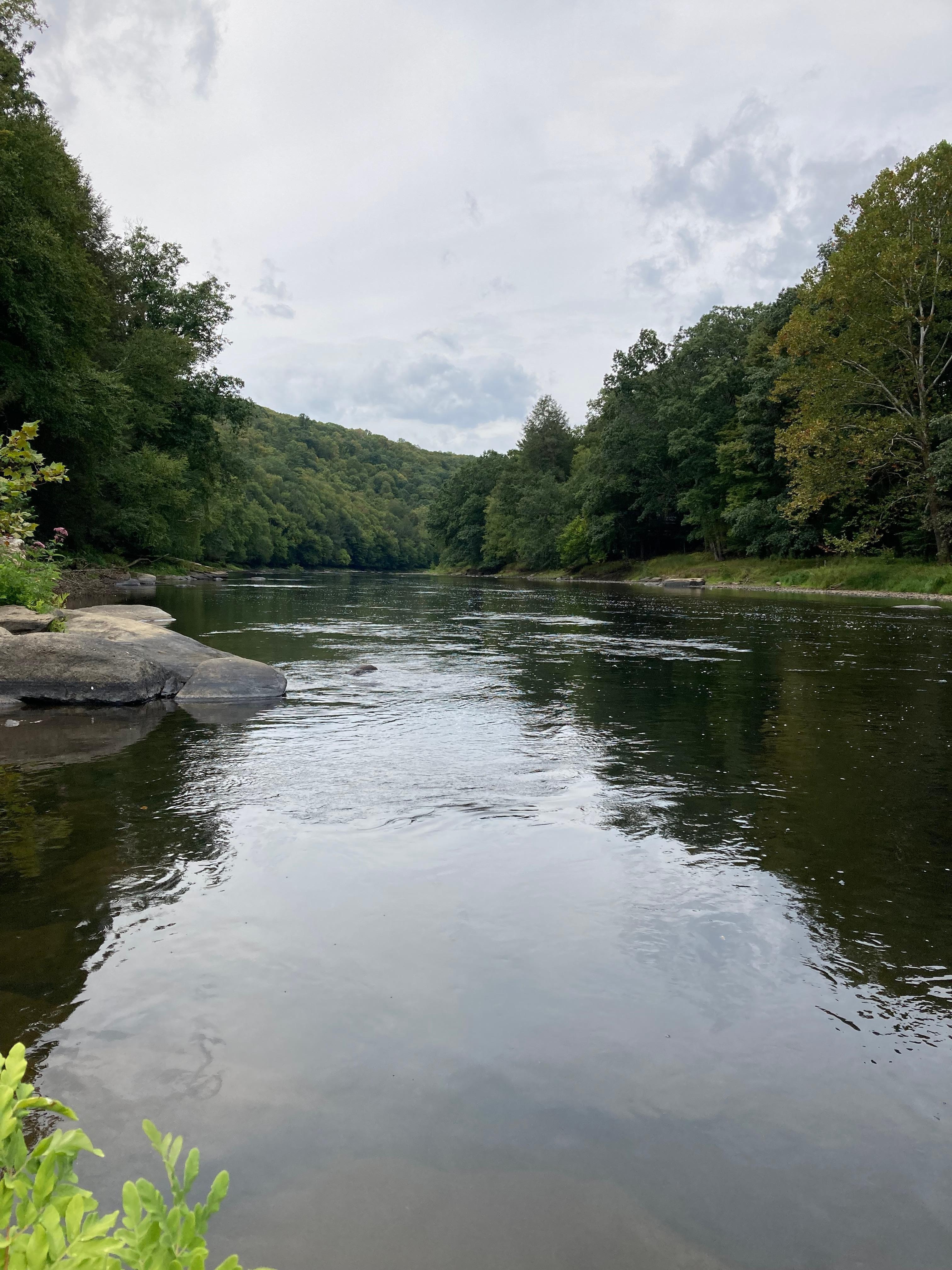 Clarion River at Cook Forest