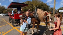 My little dog and I took a historical carriage ride through the streets of Beaufort.