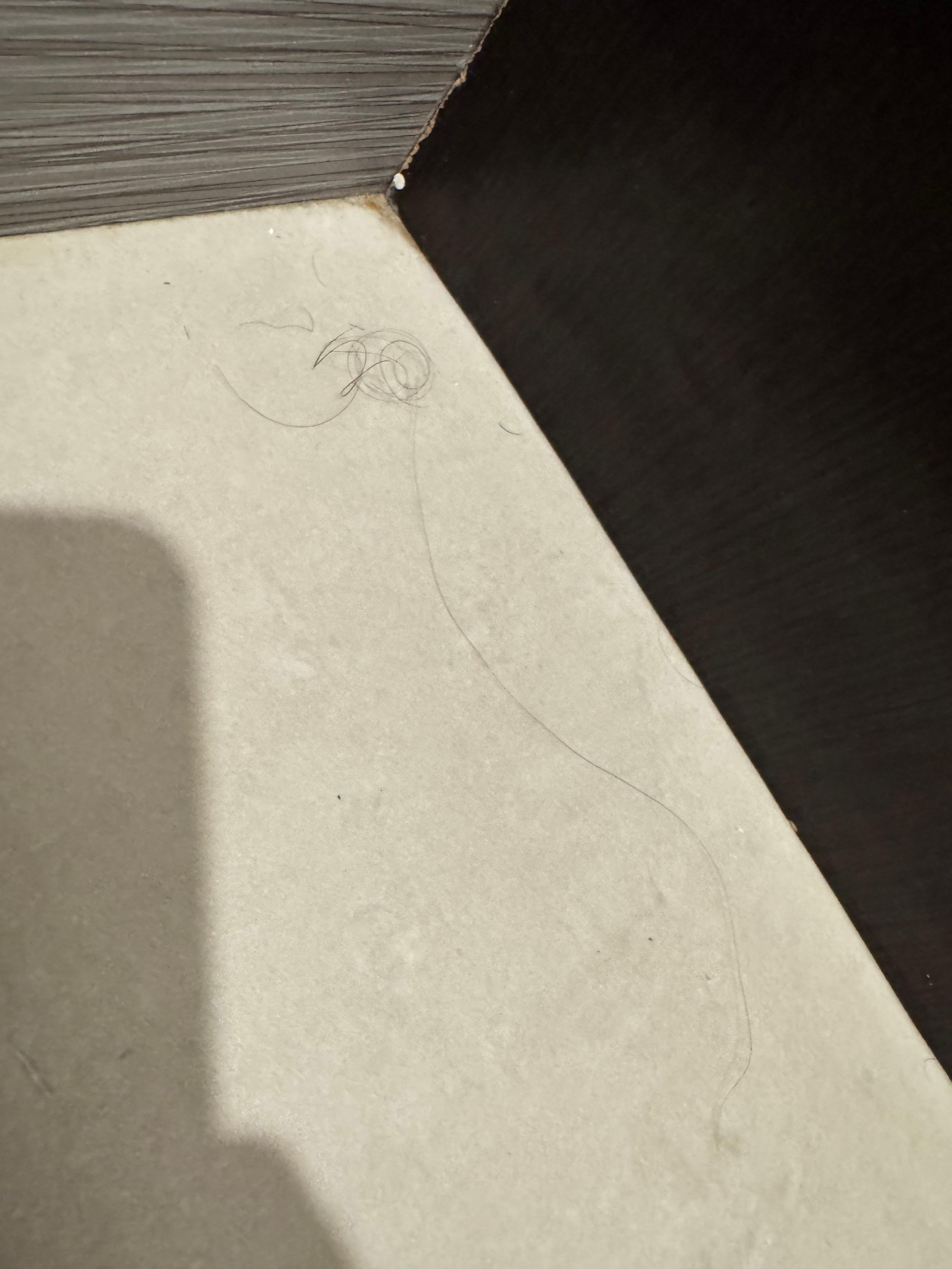 Genital hair everywhere in bathroom & some hair in bedding. Mirror in room was dirty as well.