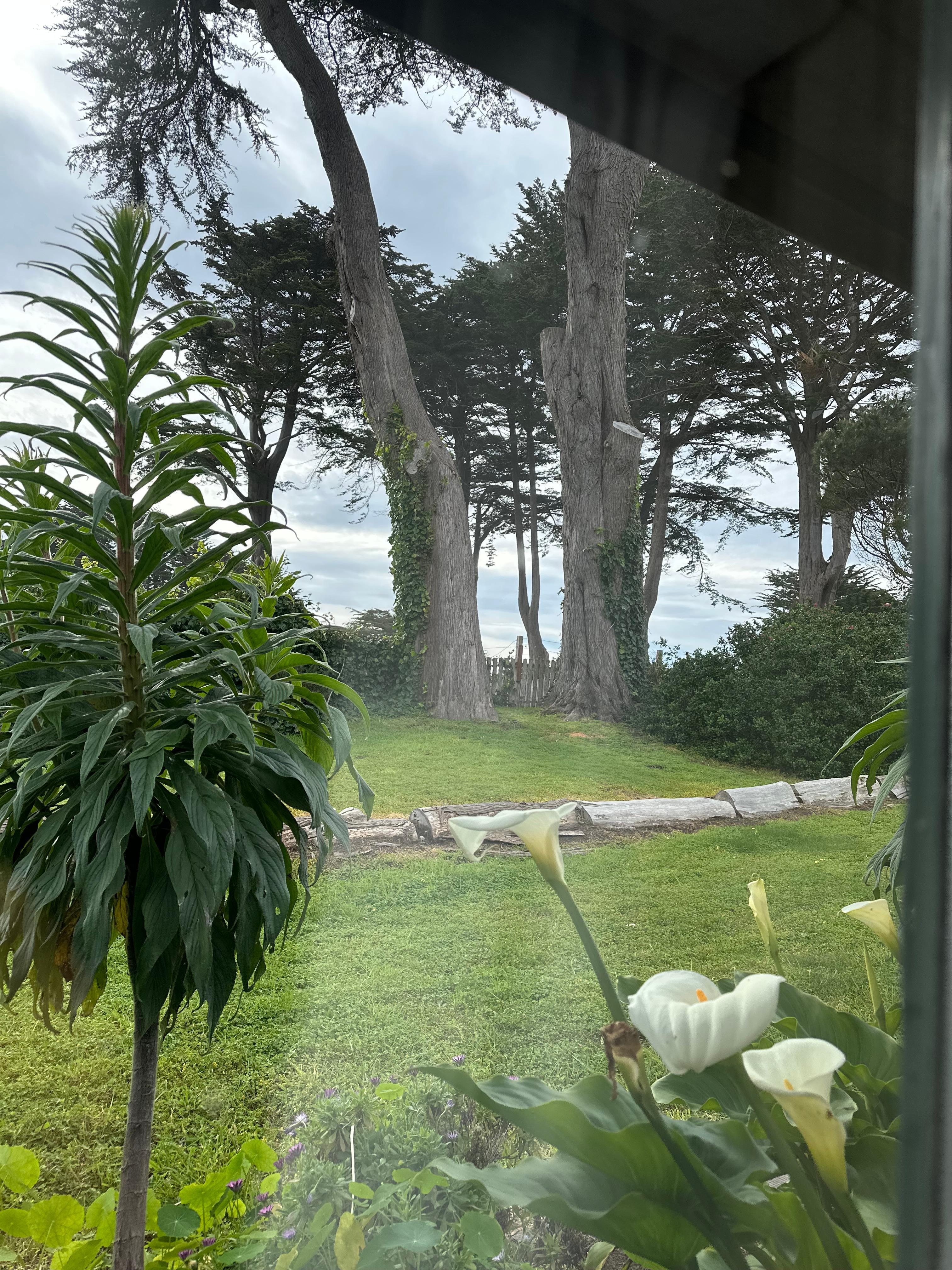 View out of the window of our room.