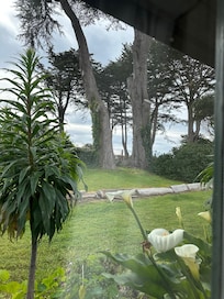 View out of the window of our room.