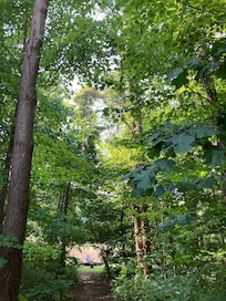 Right out the back door.