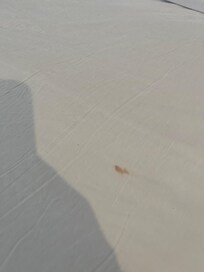 Dreckige/nasse Bettwäsche