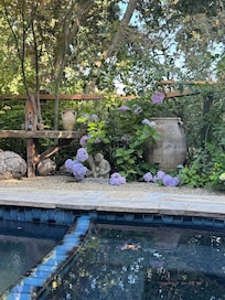 The pool area is a little hidden oasis.