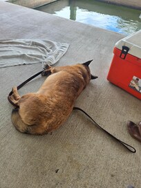 Shady patio, great for resting after a long day