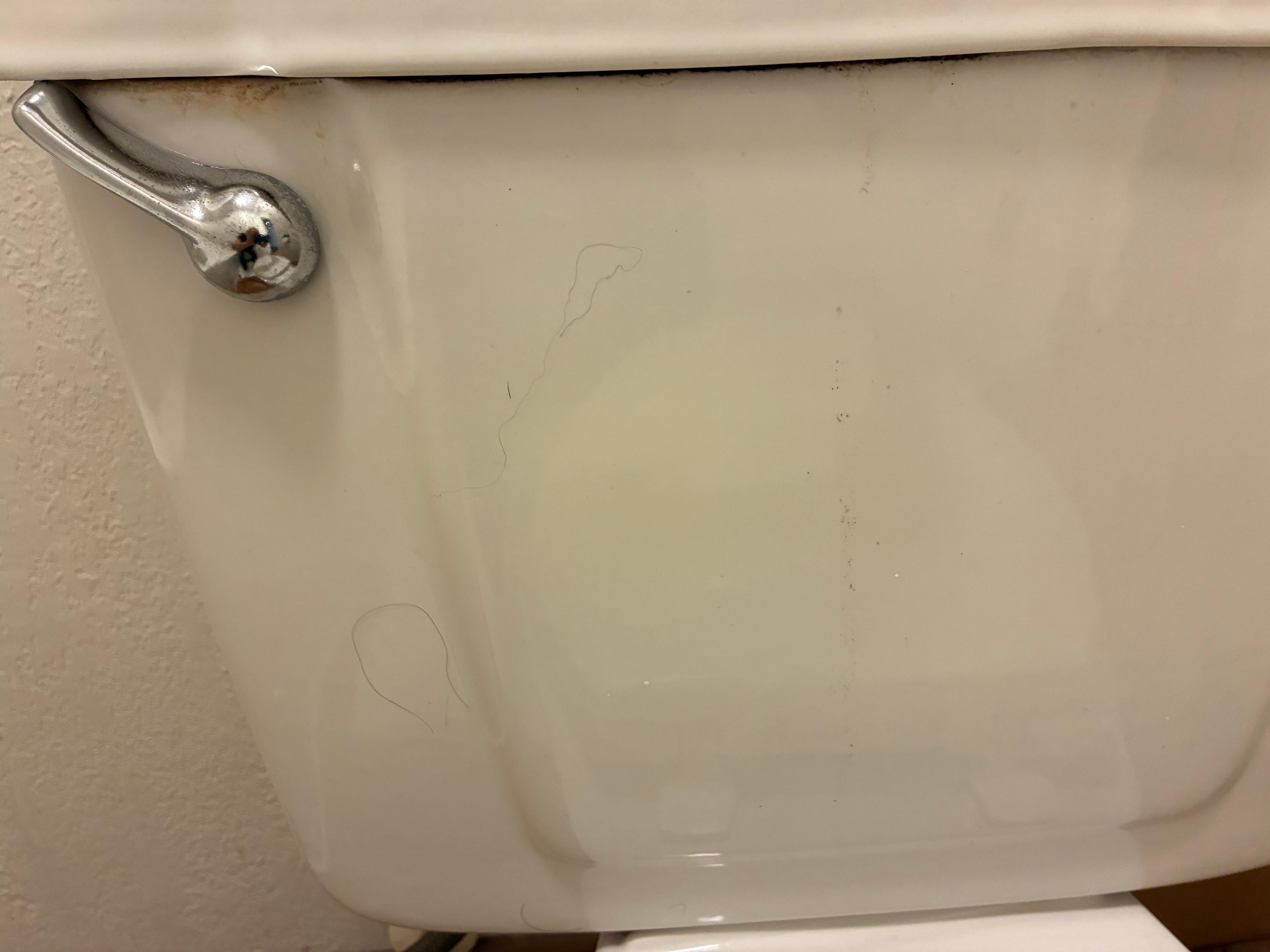 Black hairs on toilet