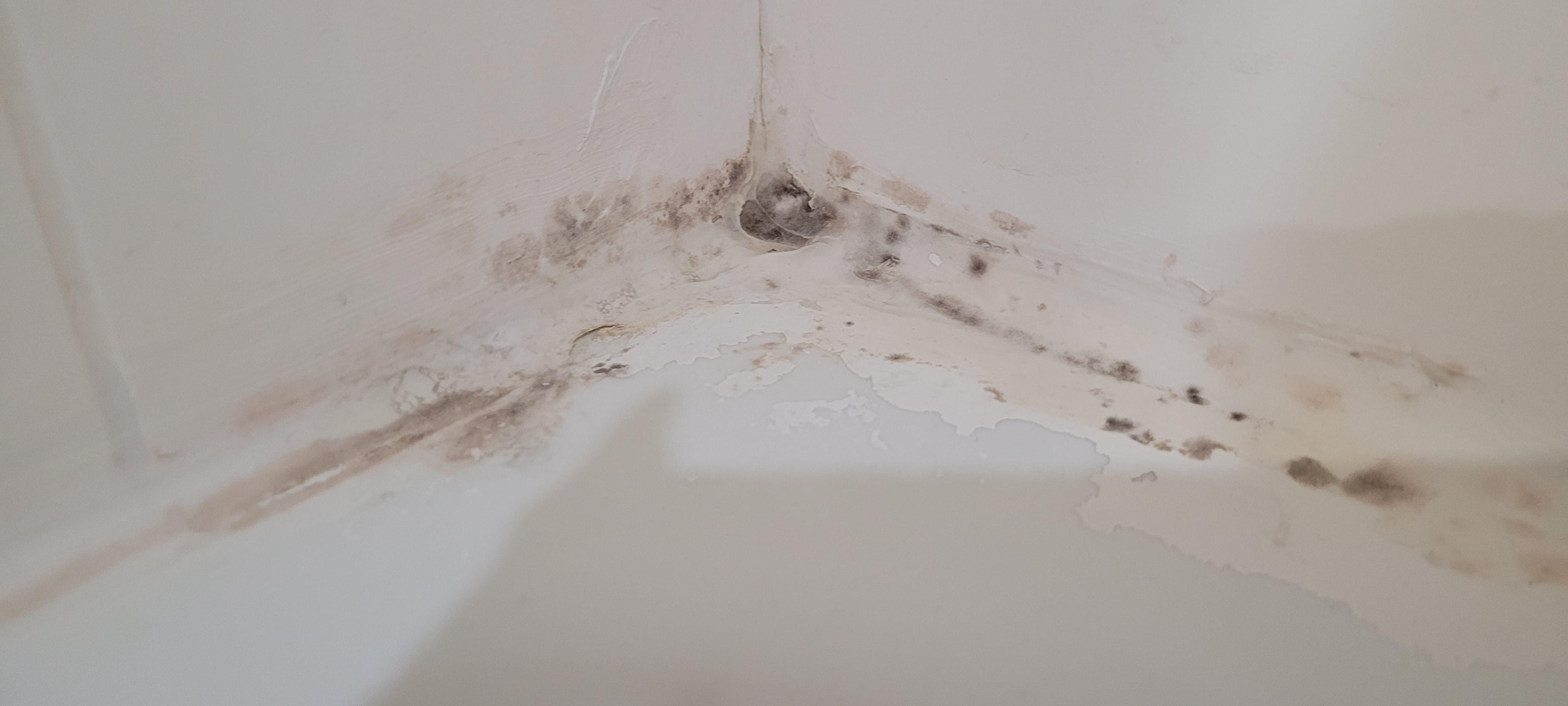 The first room I stayed in. Black mold is very present. Couldn't even shower.