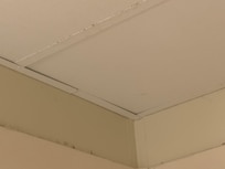 Mold
