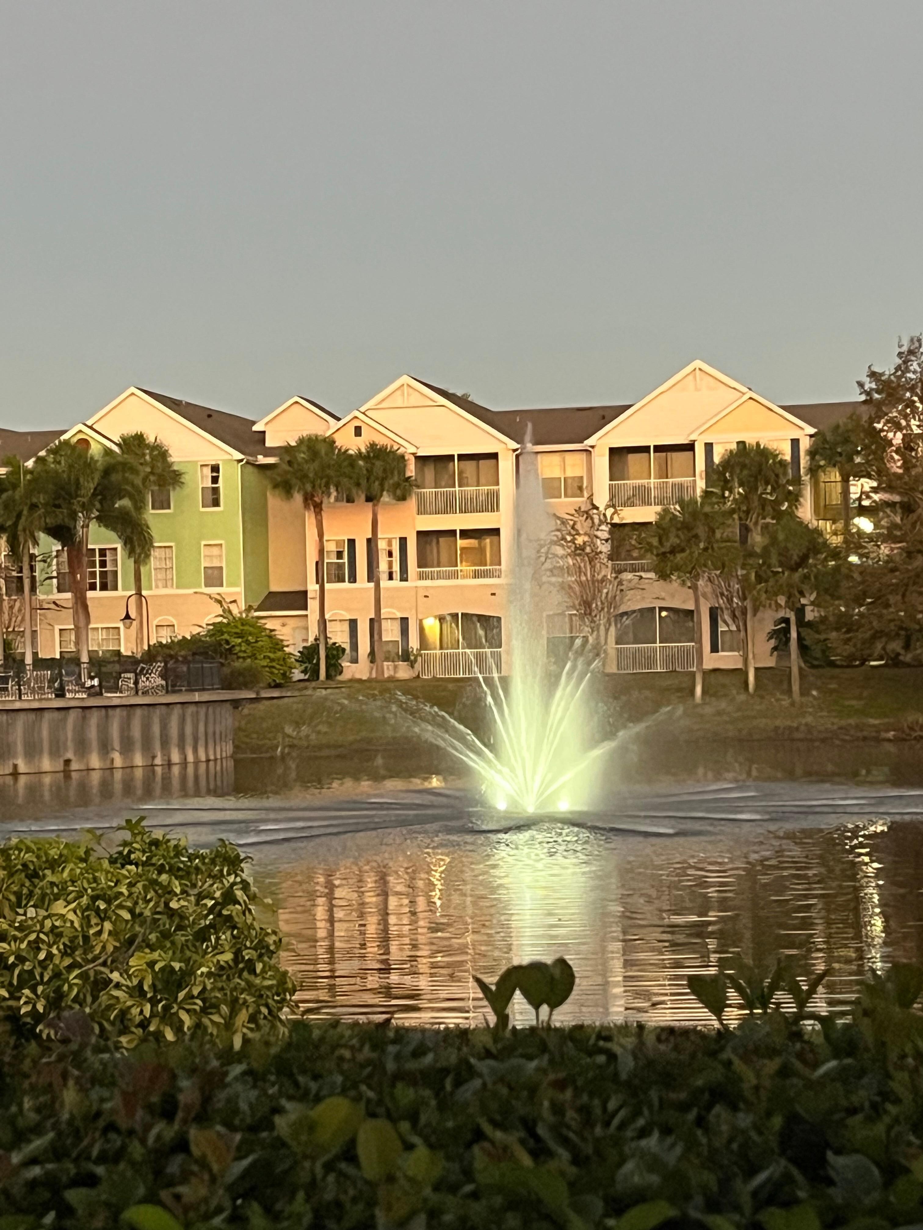 View from our patio.