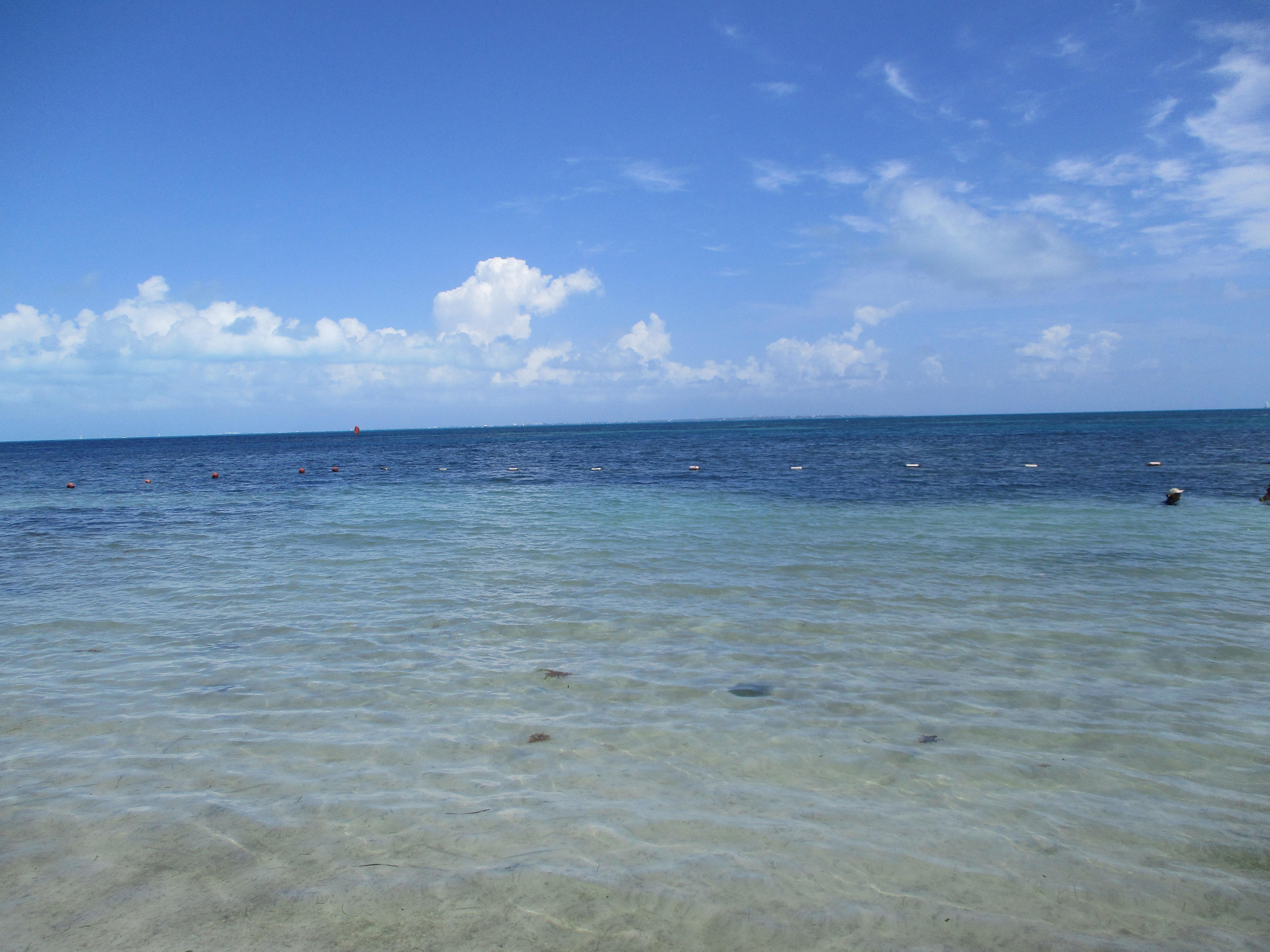 Swimming area on the beach