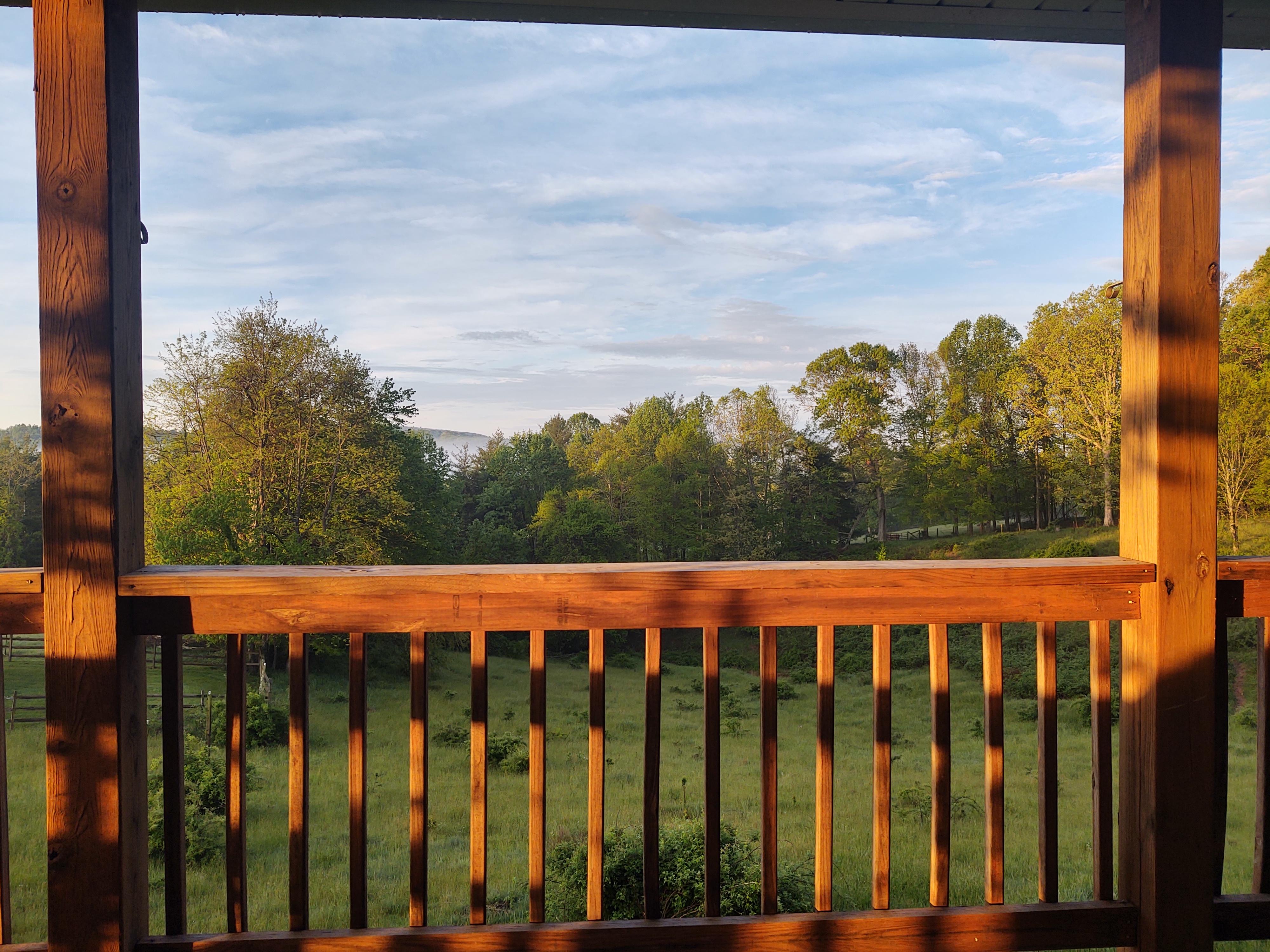 Off back porch 