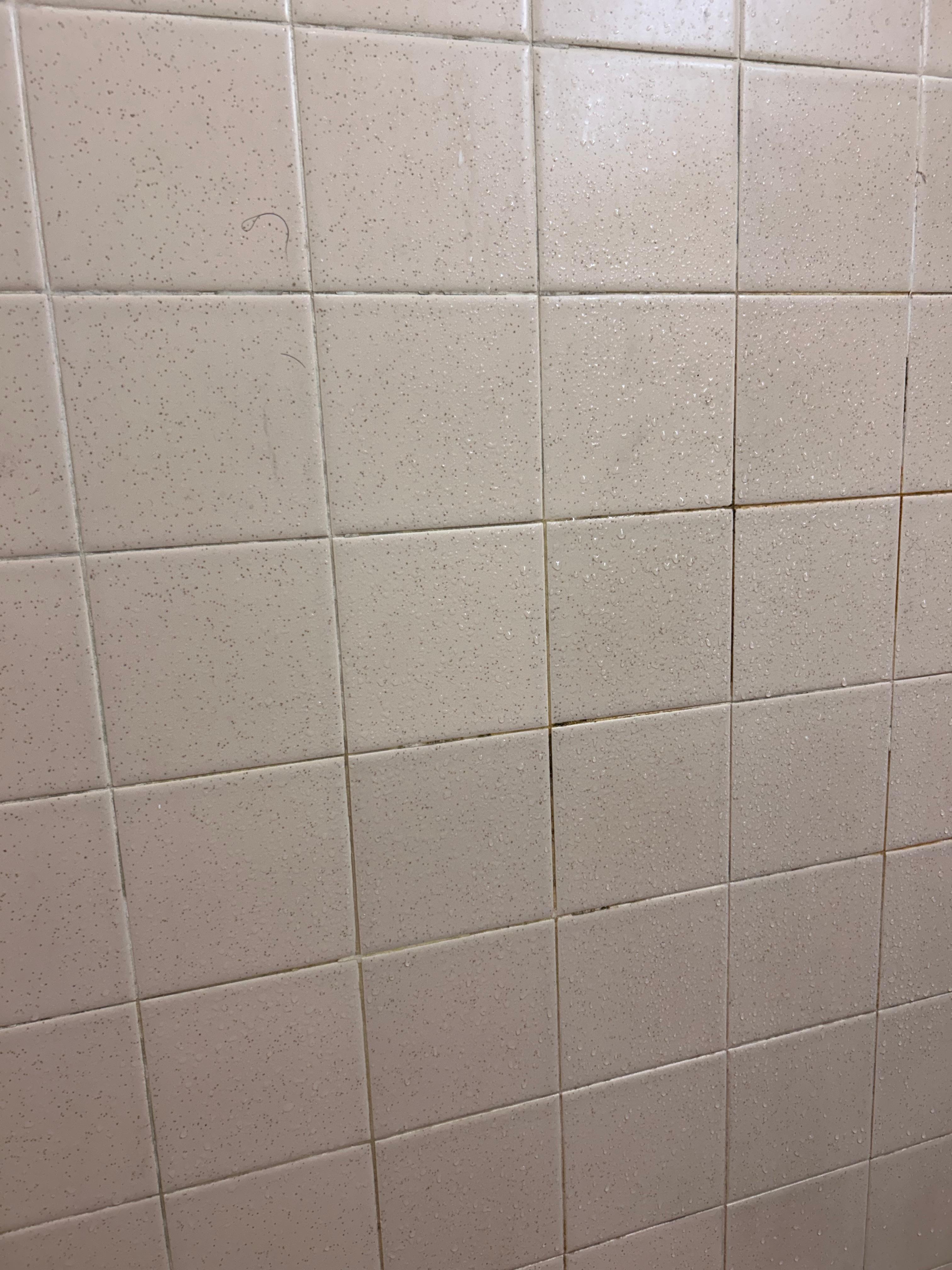 Moldy tile in the bathroom 