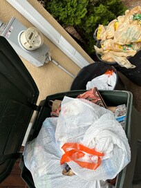 Arrived to a full trash can