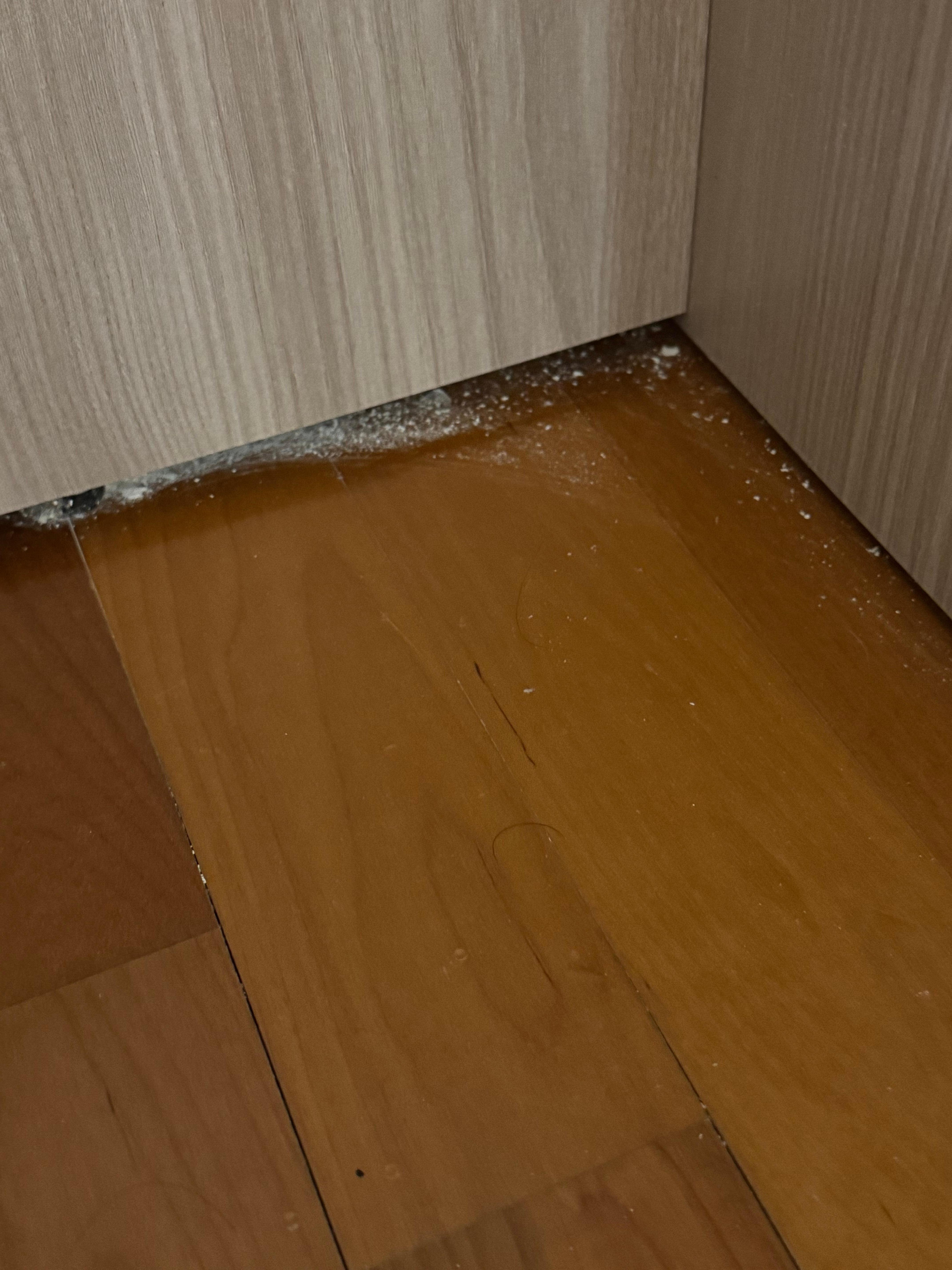 Apparent diatomaceous earth on floor near bed (2:07 AM CEST May 3) 