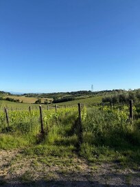 the winery on the way to the restaurant