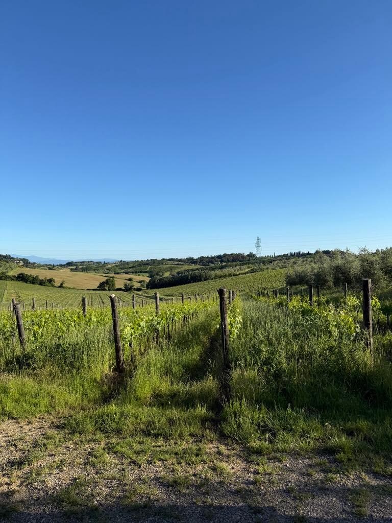 the winery on the way to the restaurant