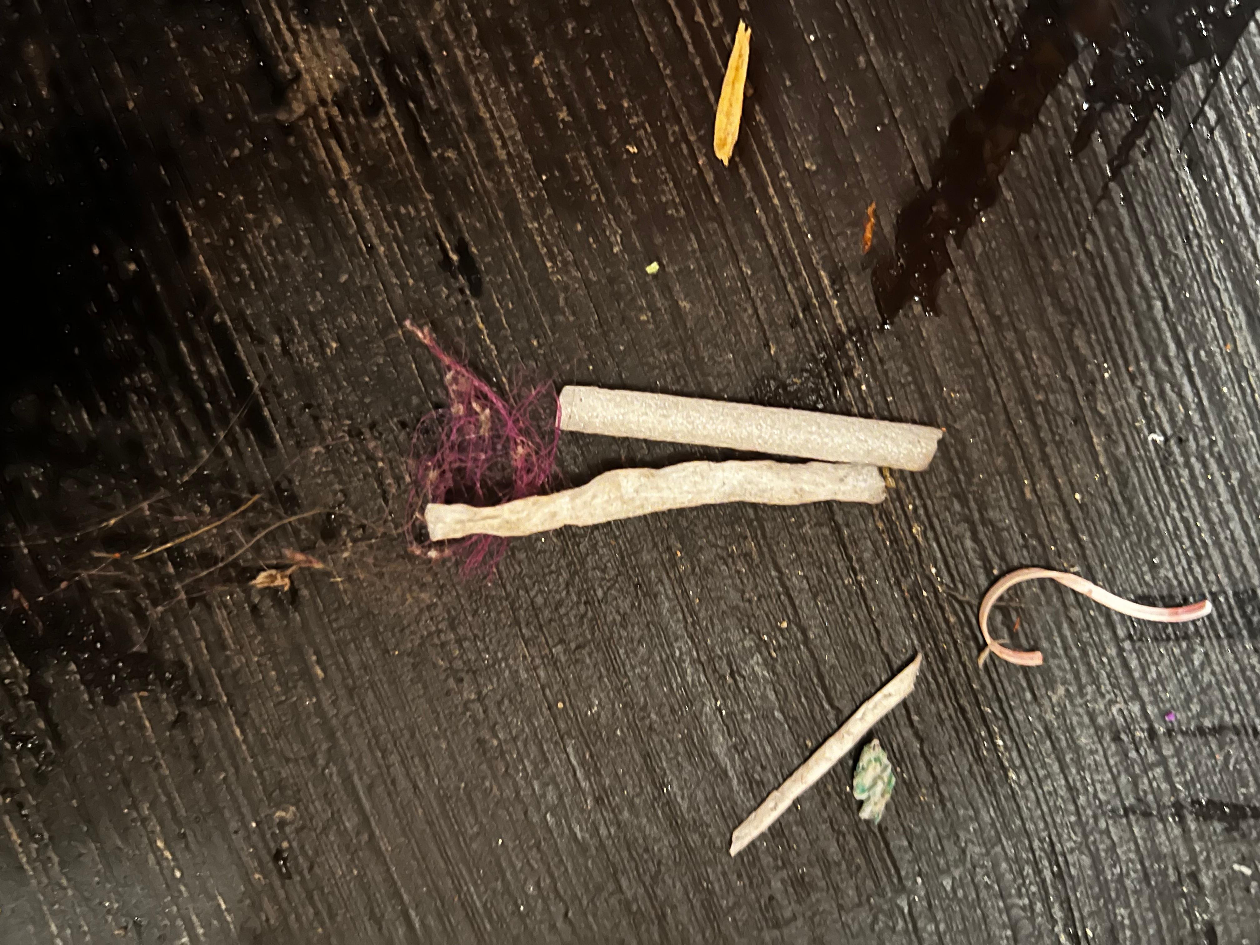 Trash floating in pool