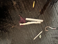 Trash floating in pool