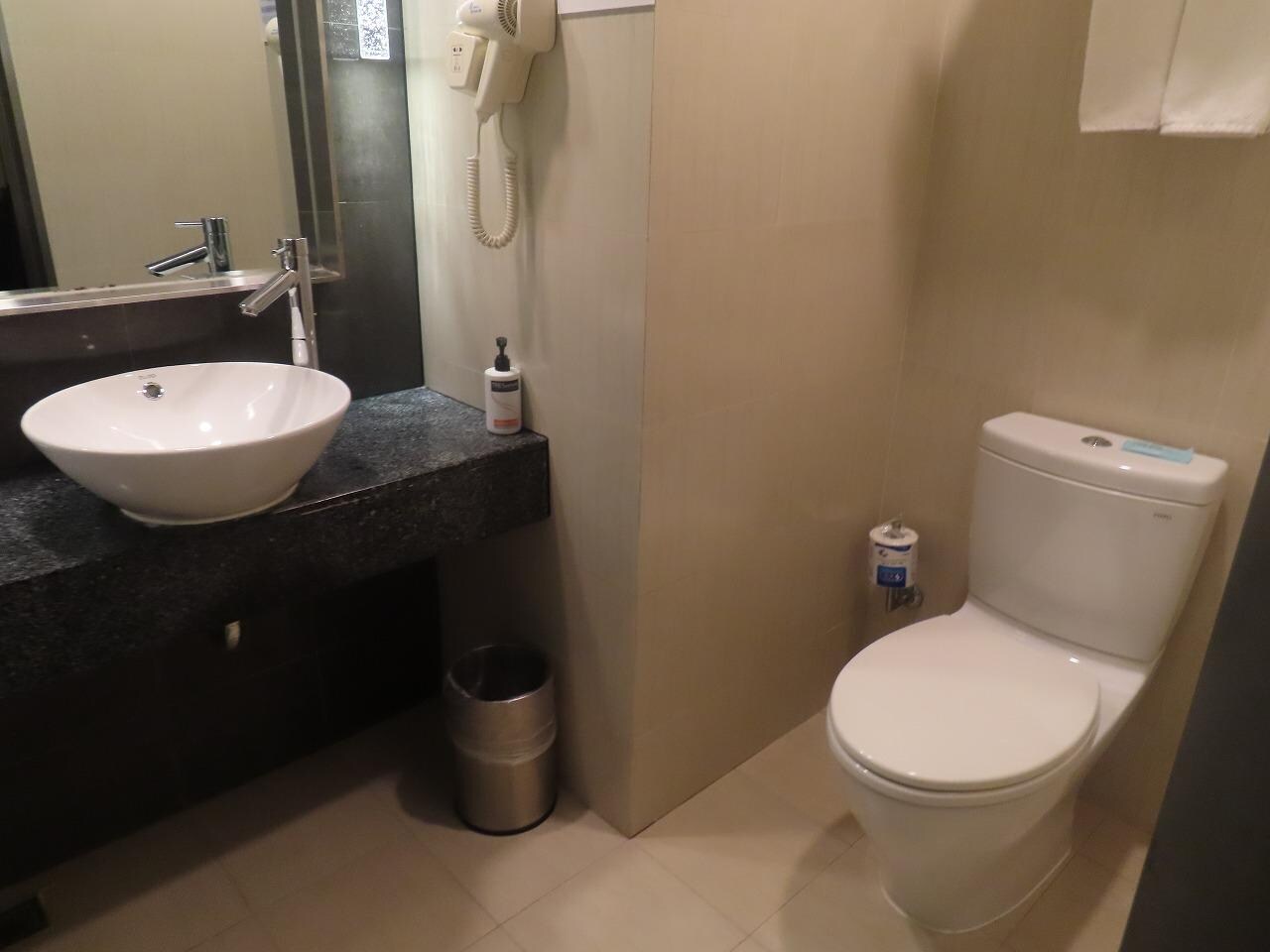 Toilet