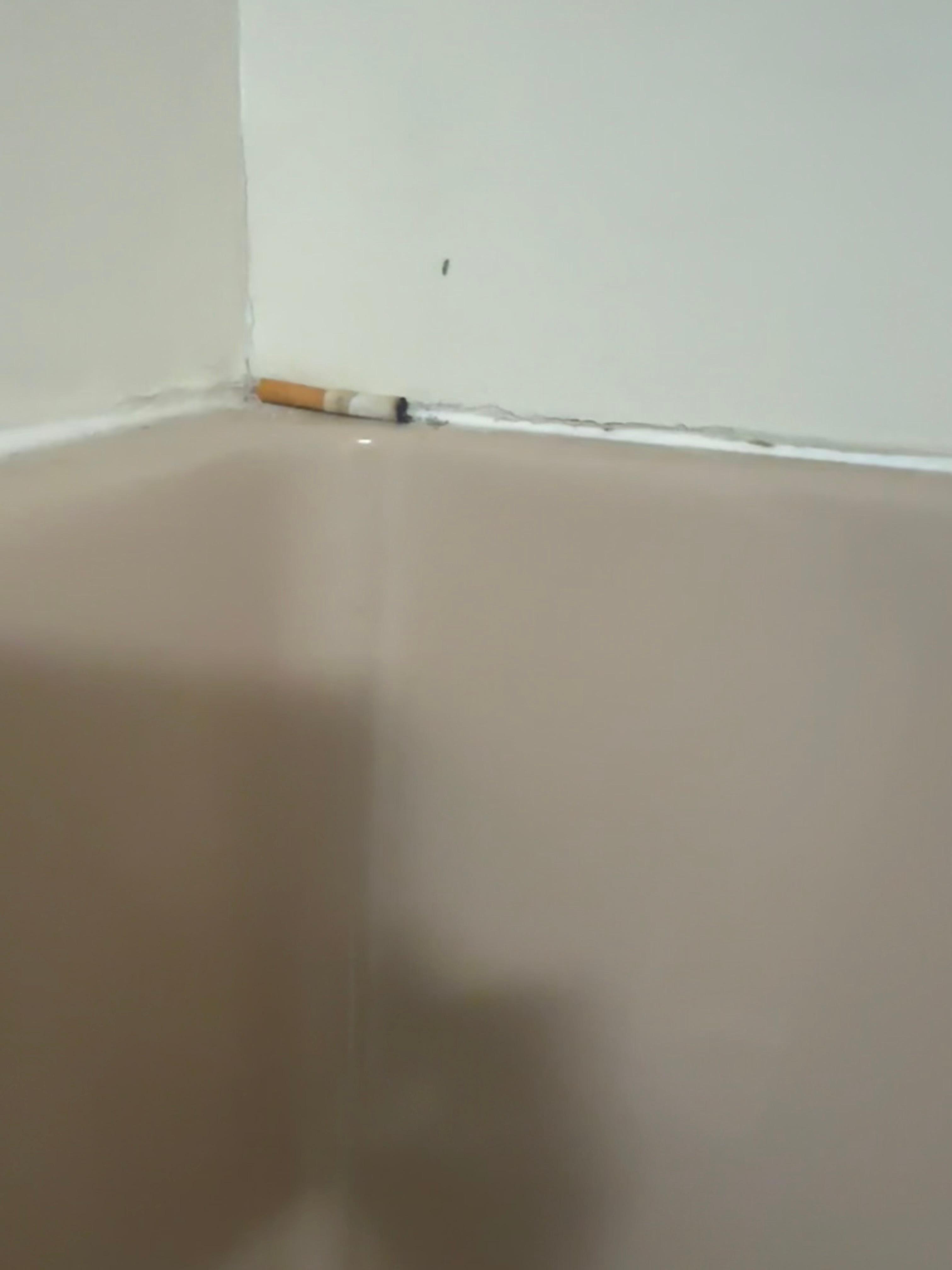 Previous occupant cigarette