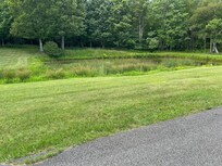 View from back patio