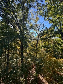 View off the back deck.
