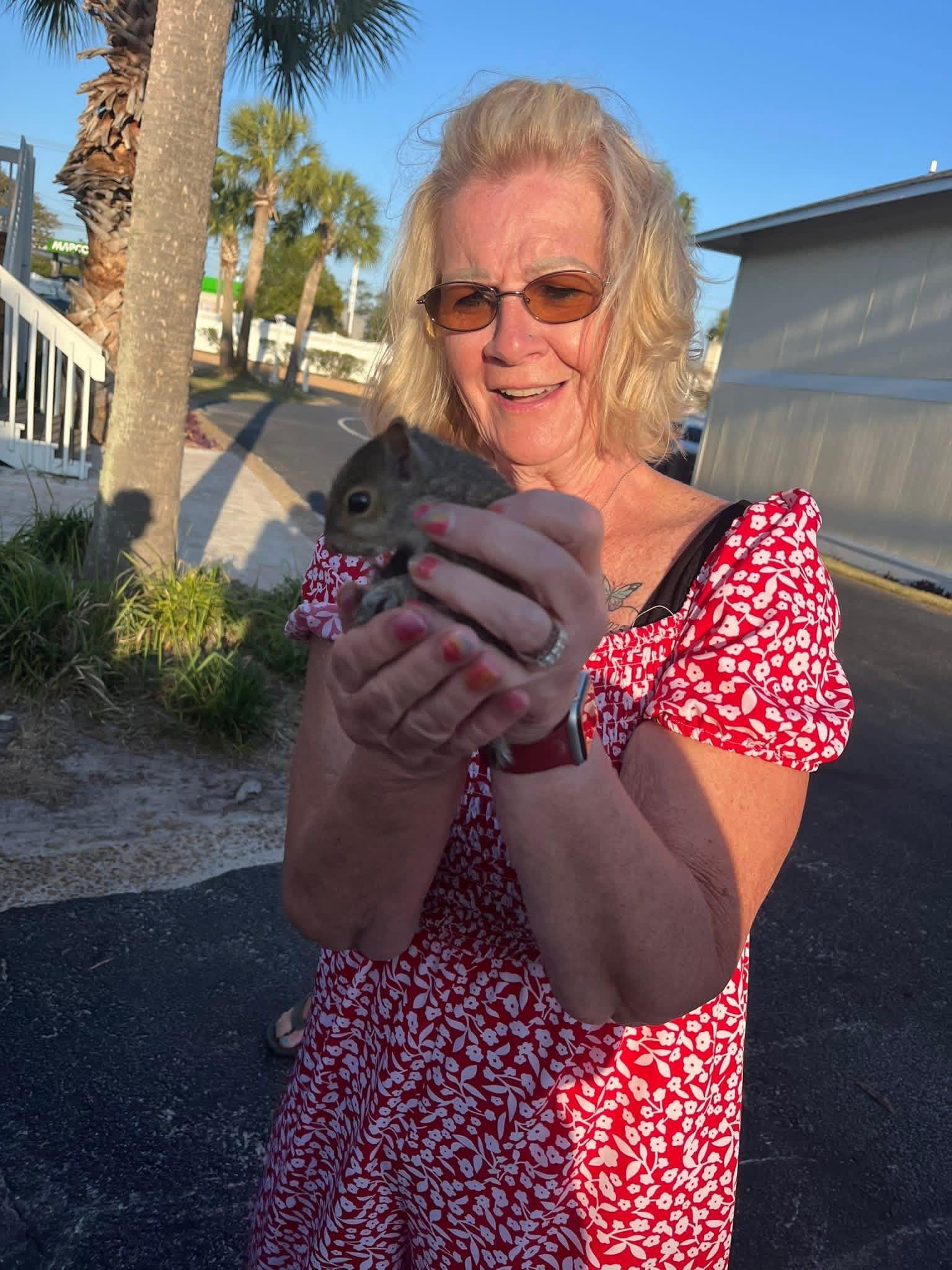 Very friendly squirrel 