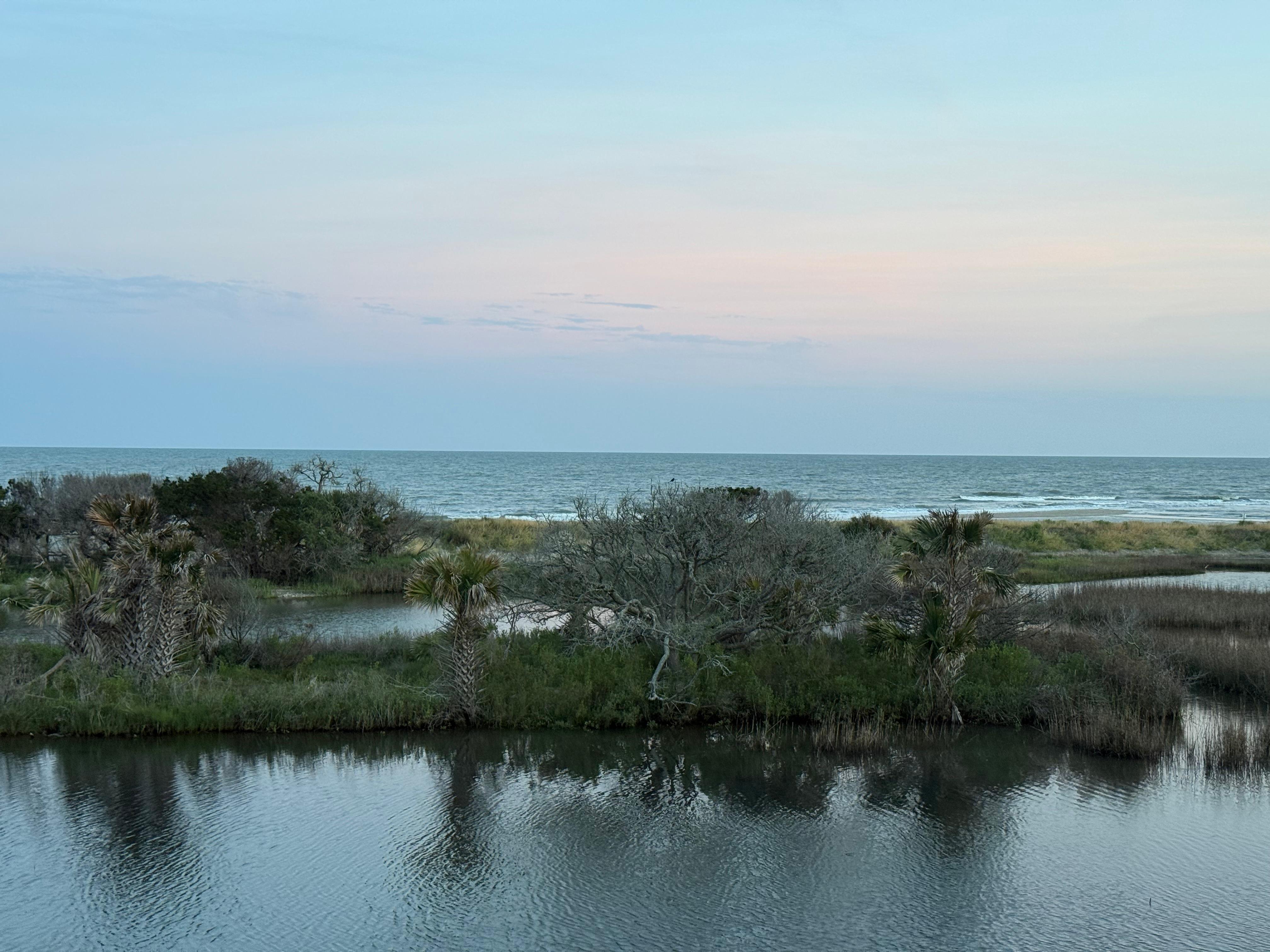 View from the house