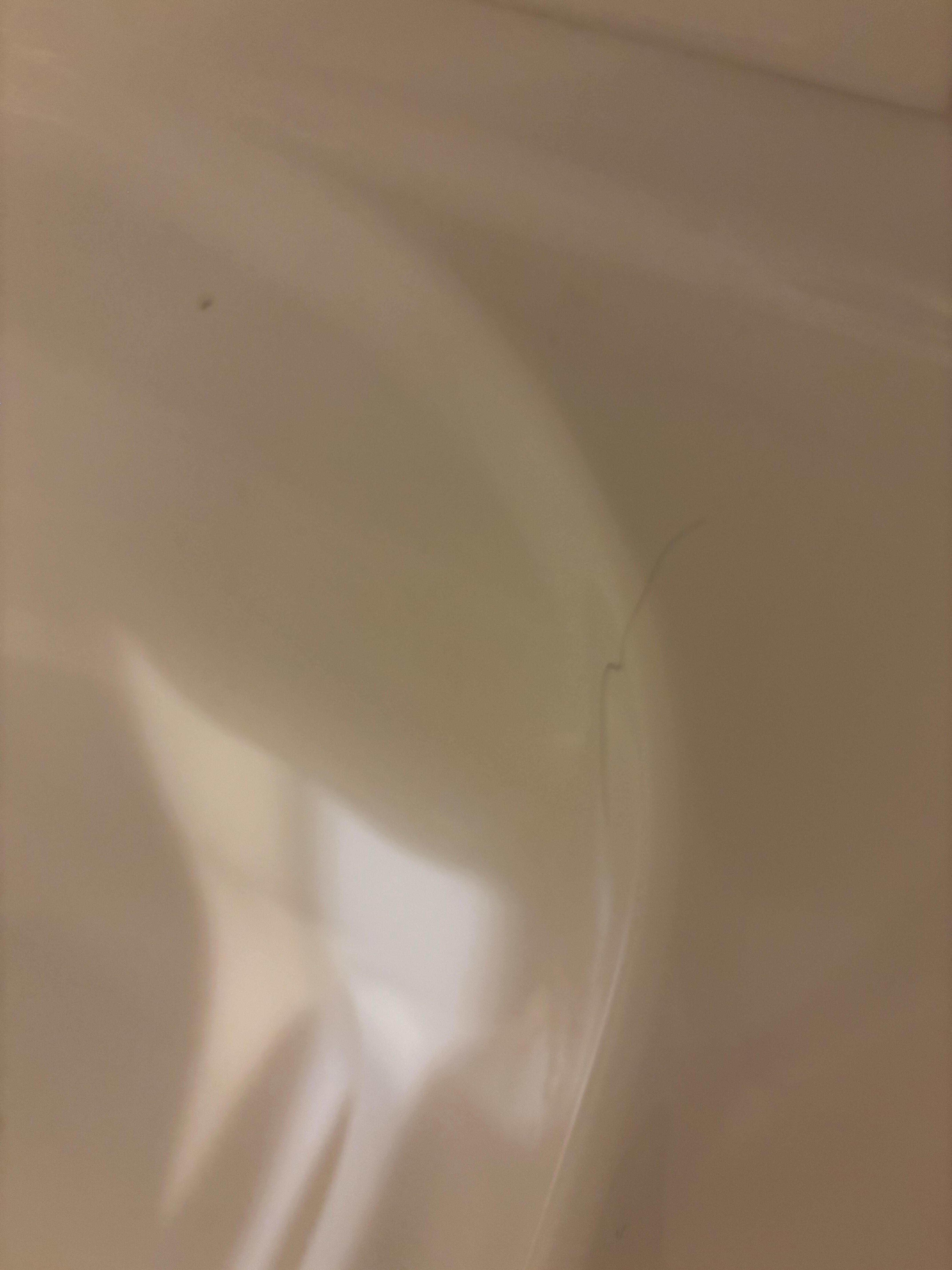 The bathtub