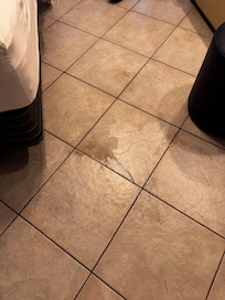 Water we woke up to.