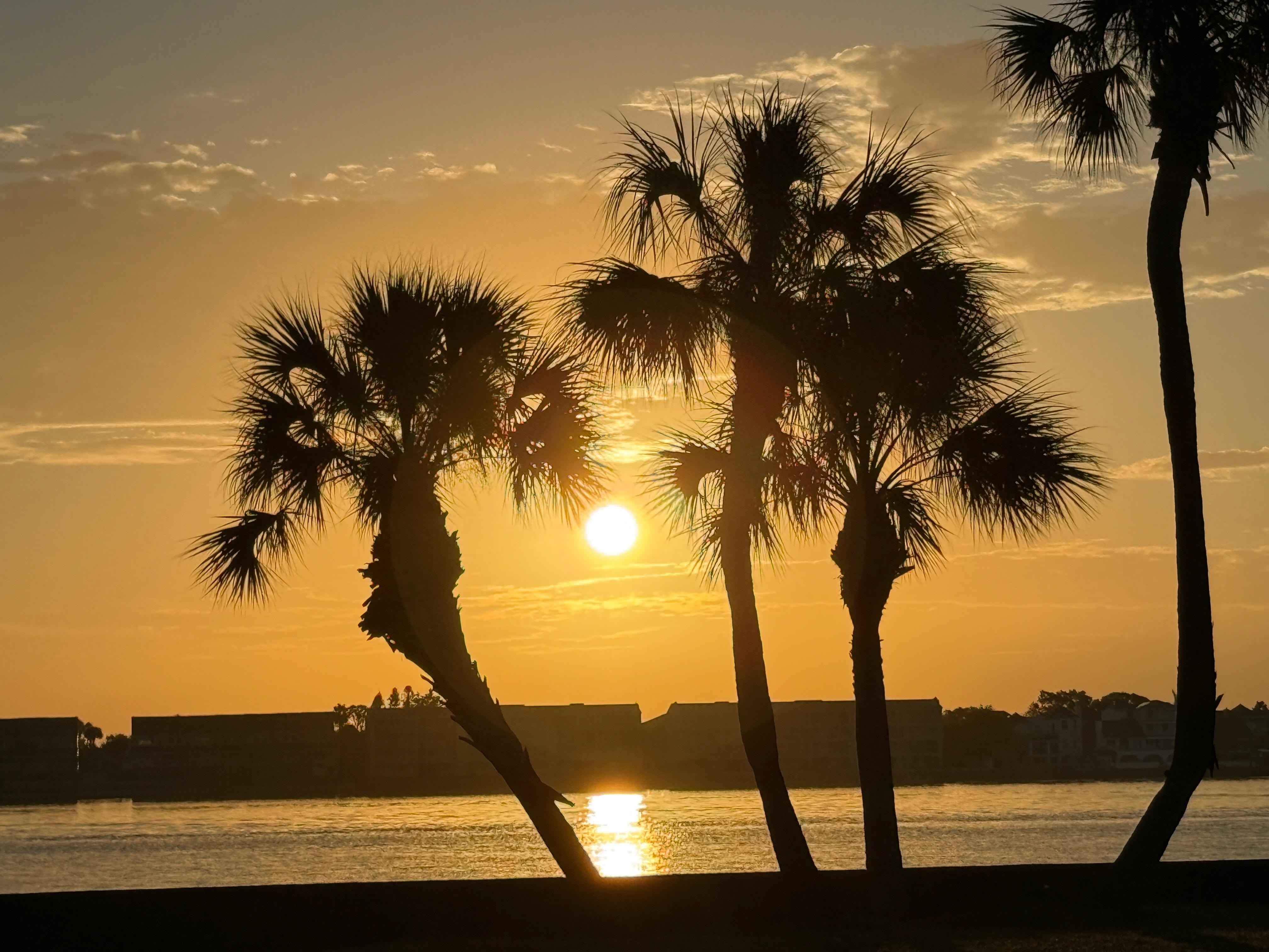 Walking along pass-a-grille beach for aunset