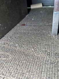 Garbage and dust between bed and nightstand