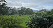 Rolling hills and mountain views from the cottage.