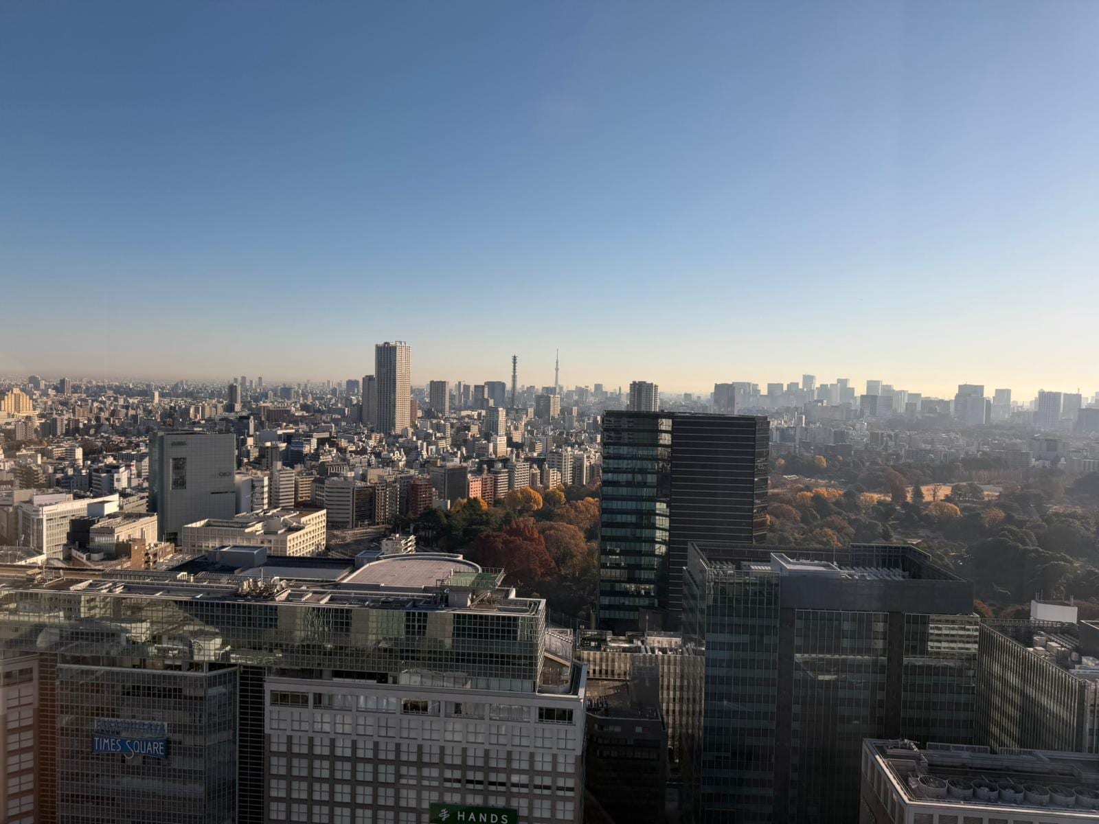 Marvellous day viewing 