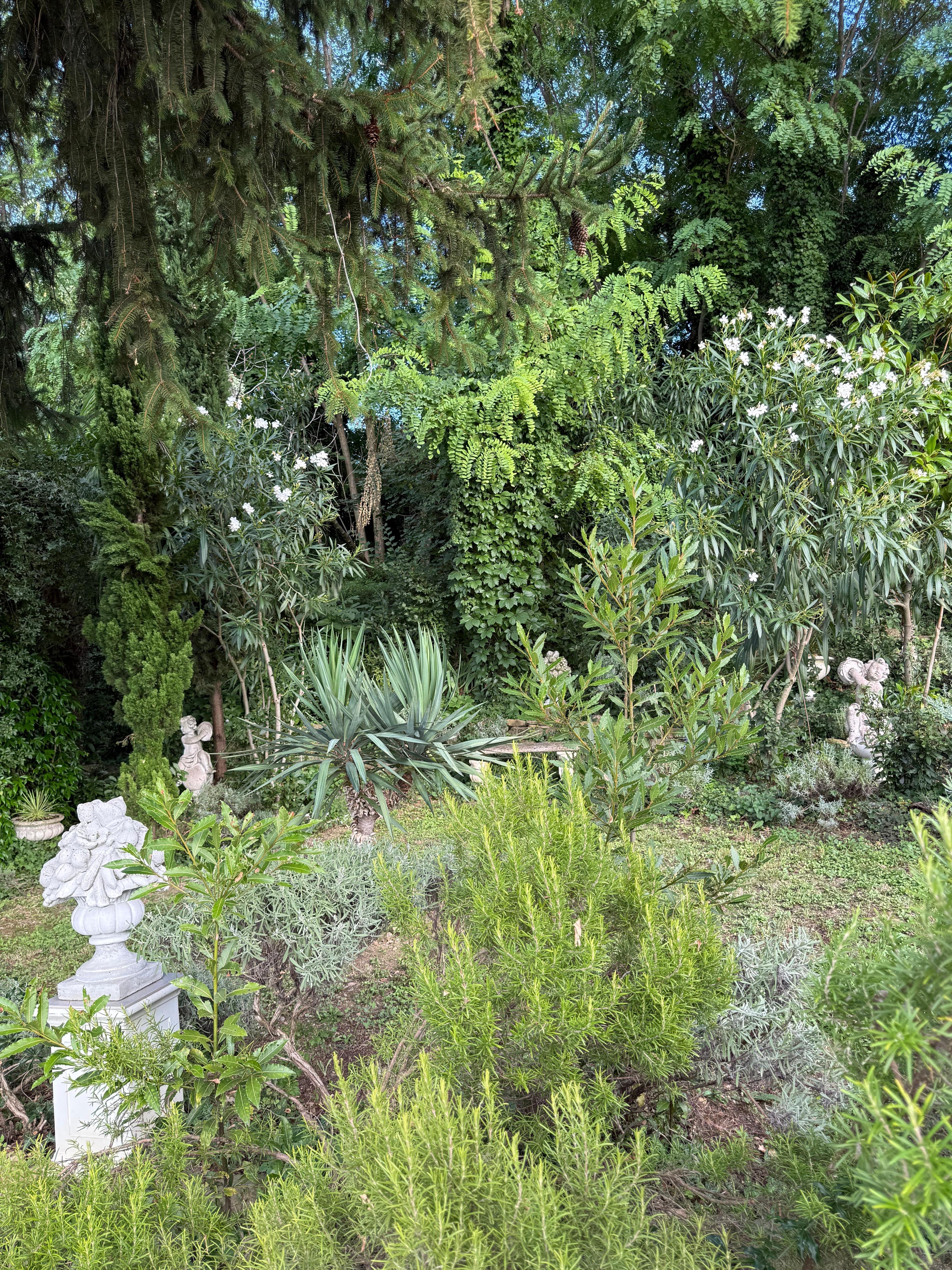 Schön gestalteter Garten mit den unterschiedlichsten Pflanzen