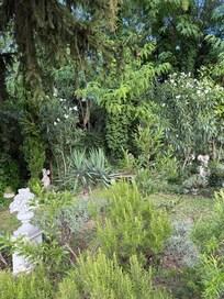 Schön gestalteter Garten mit den unterschiedlichsten Pflanzen