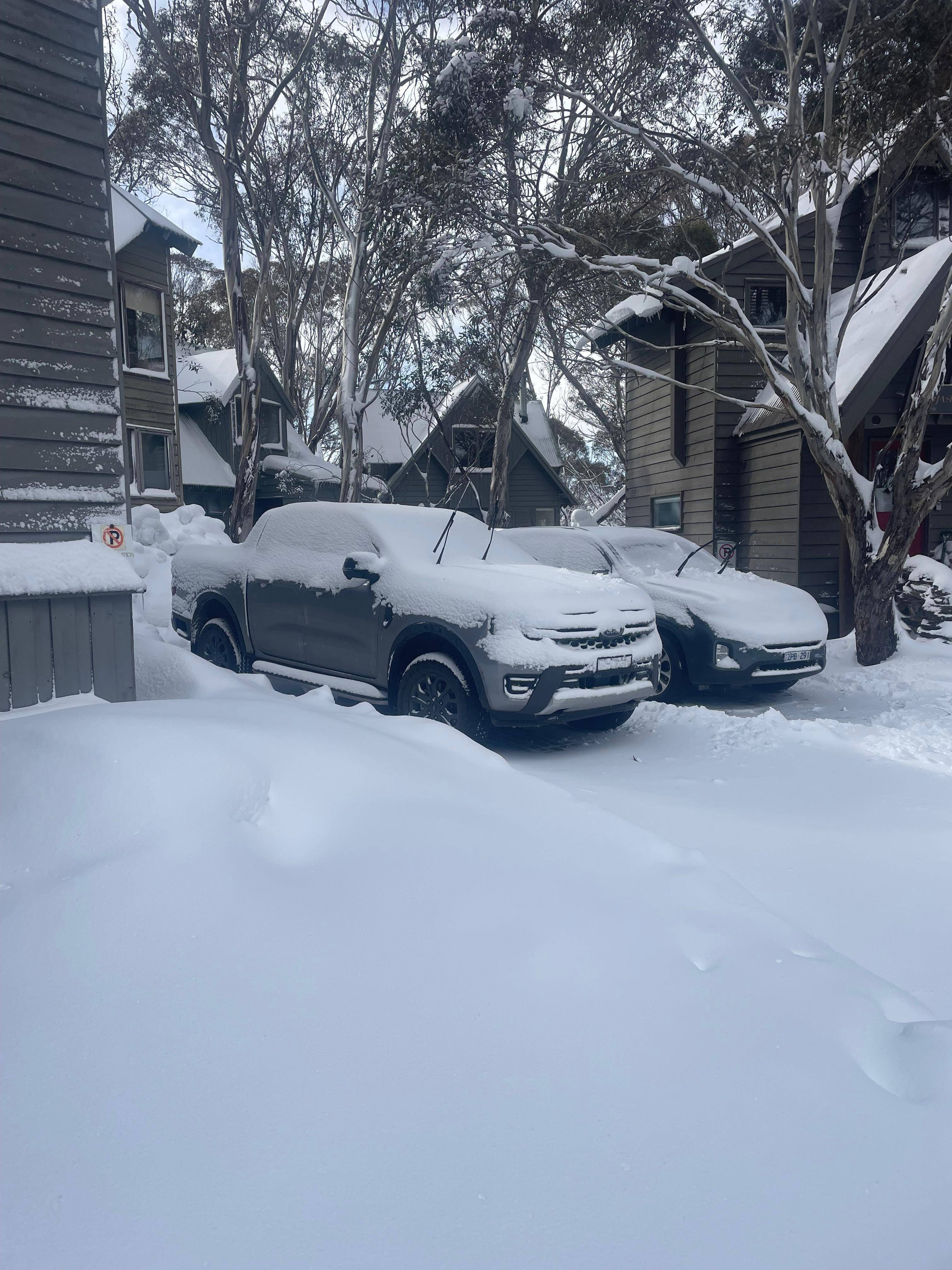 Car snowed in 